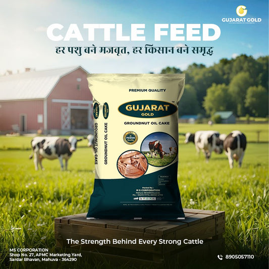 GN OIL CAKE PAPER QUALITY