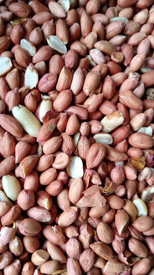 GROUNDNUT SEEDS