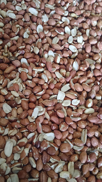 GROUNDNUT SEEDS