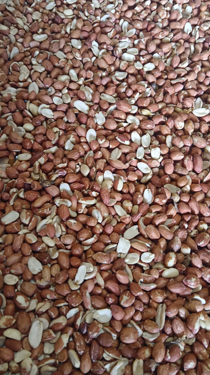 GROUNDNUT SEEDS