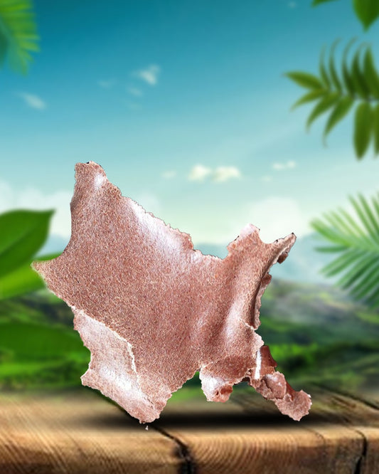 GN OIL CAKE PREMIUM QUALITY