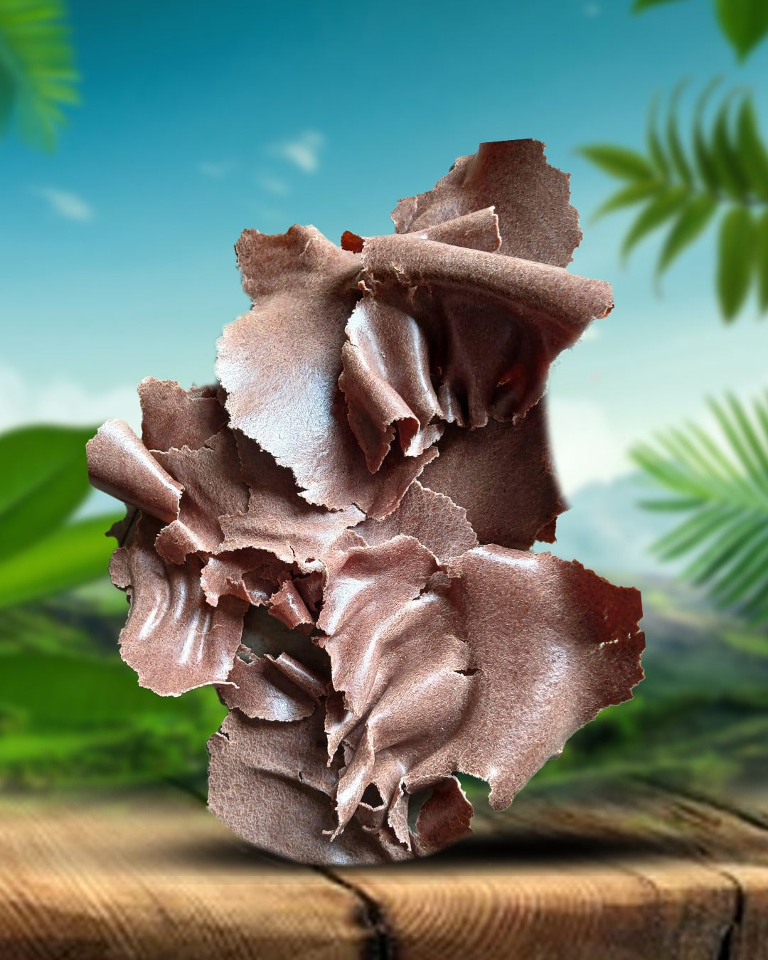 GN OIL CAKE PREMIUM QUALITY