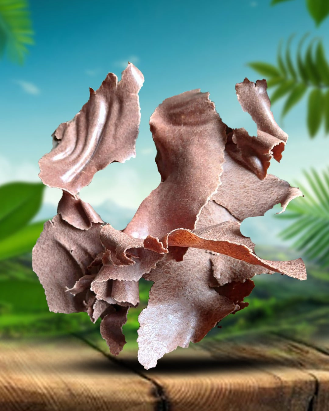 GN OIL CAKE PREMIUM QUALITY