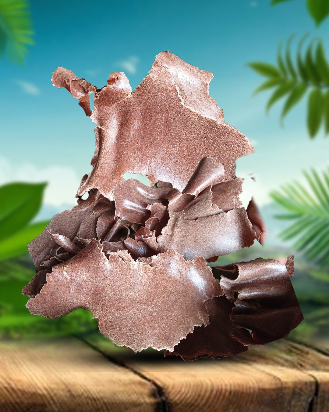 GN OIL CAKE PREMIUM QUALITY